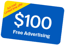 Kim Hartke's blog by Reston Tech Wiz receives more than 800 hits each day!